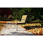 a cedar color commercial outdoor garden and commemorative bench blending perfectly into beautiful golden autumn scene. This bench will be a great addition to parks