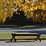 recycled plastic backless park bench is a wonderful match to the golden leaves