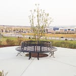 park metal circular tree bench protects a young tree while providing a place for people to rest in a street park