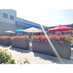 bright-colored flowers in recycled plastic patio planters made a great match with colorful umbrellas in a sunny afternoon